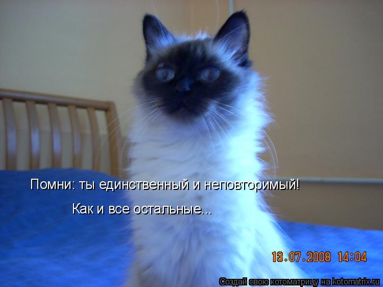 Помни: ты единственный и неповторимый! Как и все остальные...... Котоматрица: Помни: ты единственный и неповторимый! Как и все остальные...