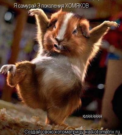 Котоматрица: Я самурай 3 поколения ХОМЯКОВ кияяяяяя