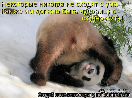 Некоторые никогда не сходят с ума Как же им должно быть чудовищно скучно жить!..... Котоматрица: Некоторые никогда не сходят с ума Как же им должно быть чудовищно скучно жить!..