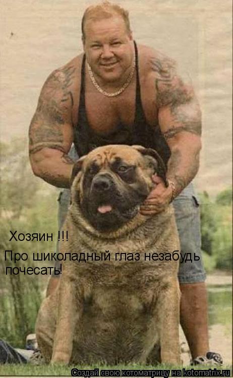 Котоматрица: Хозяин !!! Про шиколадный глаз незабудь почесать !