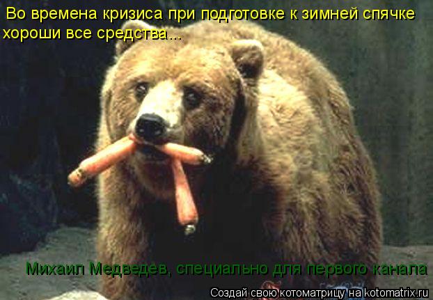 Во времена кризиса при подготовке к зимней спячке хороши все средства... Михаил Медведев, специально... Котоматрица: Во времена кризиса при подготовке к зимней спячке хороши все средства... Михаил Медведев, специально для первого канала