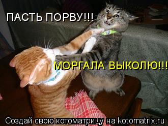 ПАСТЬ ПОРВУ!!! МОРГАЛА ВЫКОЛЮ!!!... Котоматрица: ПАСТЬ ПОРВУ!!! МОРГАЛА ВЫКОЛЮ!!!