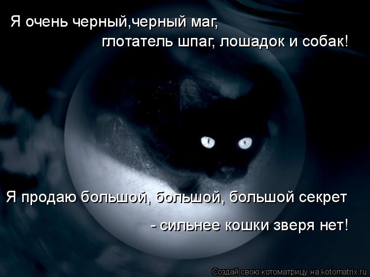 Я очень черный,черный маг, глотатель шпаг, лошадок и собак! Я продаю большой, большой, большой секре... Котоматрица: Я очень черный,черный маг, глотатель шпаг, лошадок и собак! Я продаю большой, большой, большой секрет - сильнее кошки зверя нет!