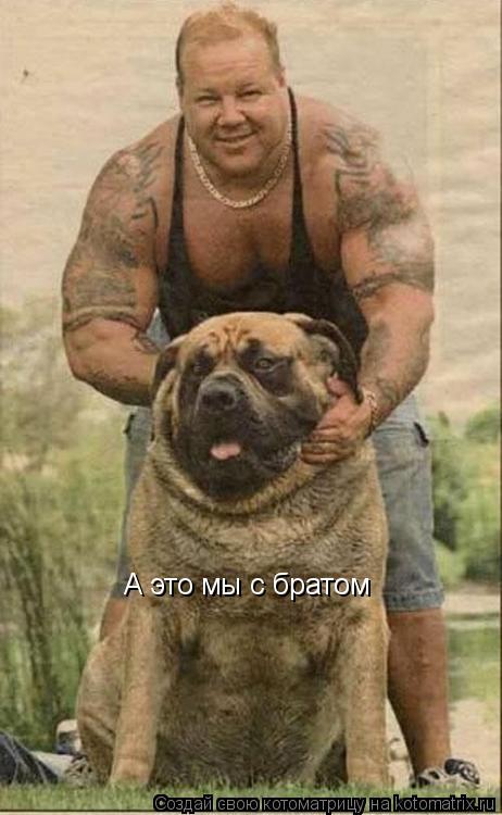 Котоматрица: А это мы с братом