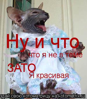 Котоматрица: Ну и что что я не в теме ЗАТО Я красивая
