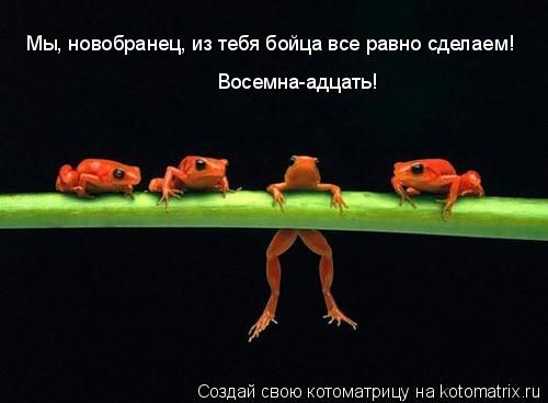 Котоматрица: Мы, новобранец, из тебя бойца все равно сделаем! Восемна-адцать!