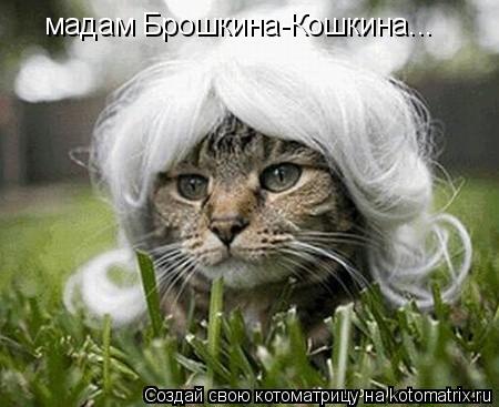 мадам Брошкина-Кошкина...... Котоматрица: мадам Брошкина-Кошкина...