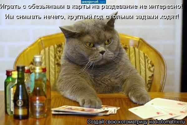 Играть с обезьянами в карты на раздевание не интересно! Им снимать нечего, круглый год с голыми задам... Котоматрица: Играть с обезьянами в карты на раздевание не интересно! Им снимать нечего, круглый год с голыми задами ходят!