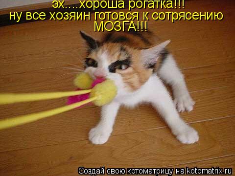 Котоматрица: эх....хороша рогатка!!! ну все хозяин готовся к сотрясению  МОЗГА!!!