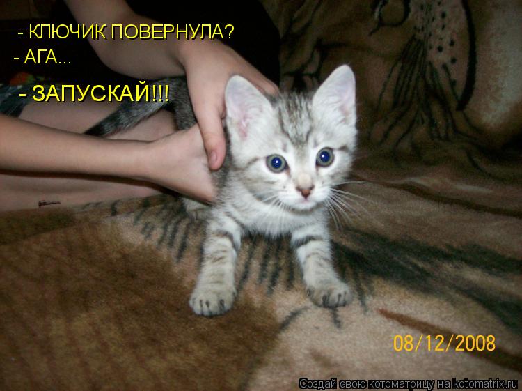 Котоматрица: - КЛЮЧИК ПОВЕРНУЛА? - АГА... - ЗАПУСКАЙ!!!