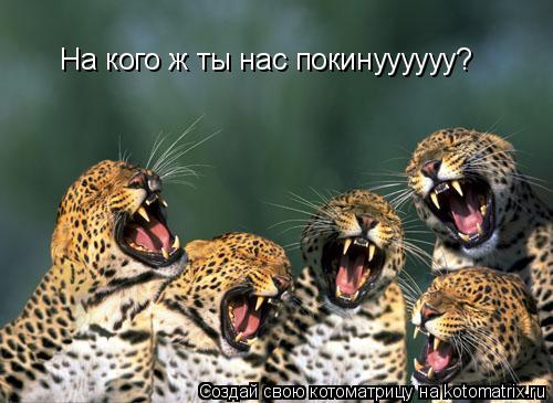 На кого ж ты нас покинуууууу?... Котоматрица: На кого ж ты нас покинуууууу?