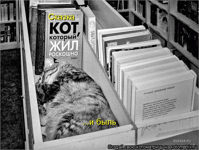 Котоматрица: Сказка ...и быль