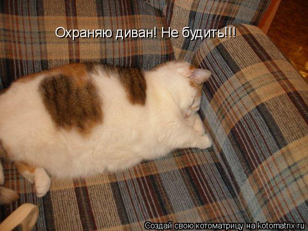 Котоматрица: Охраняю диван! Не будить!!!