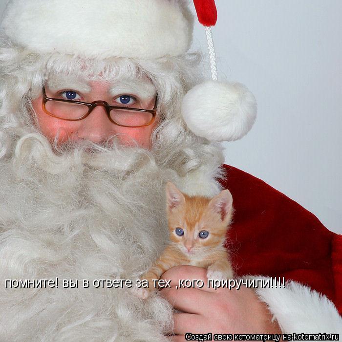 Котоматрица: помните! вы в ответе за тех ,кого приручили!!!!