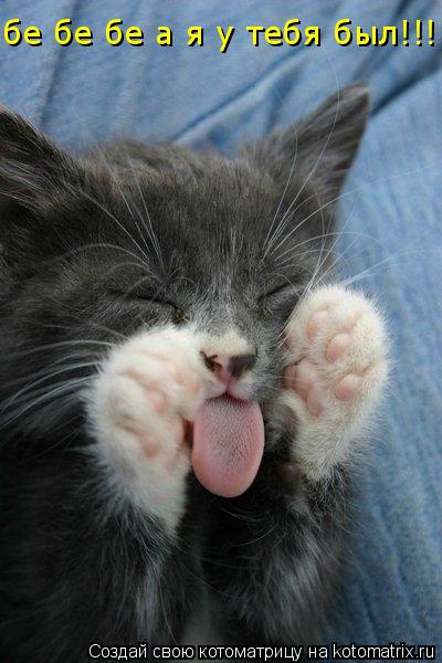 бе бе бе а я у тебя был!!!... Котоматрица: бе бе бе а я у тебя был!!!
