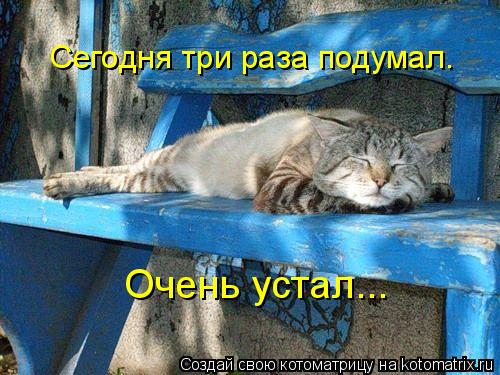 Сегодня три раза подумал. Очень устал...... Котоматрица: Сегодня три раза подумал. Очень устал...