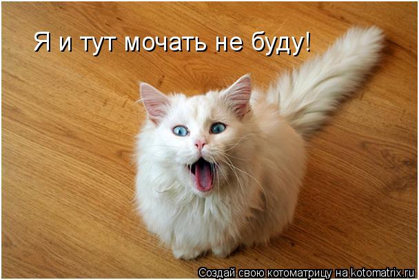 Я и тут мочать не буду!... Котоматрица: Я и тут мочать не буду!