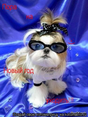 Пора уходить!!! на Новый год :-)... Котоматрица: Пора уходить!!! на Новый год :-)