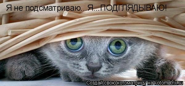 Я не подсматриваю...Я...ПОДГЛЯДЫВАЮ!... Котоматрица: Я не подсматриваю...Я...ПОДГЛЯДЫВАЮ!