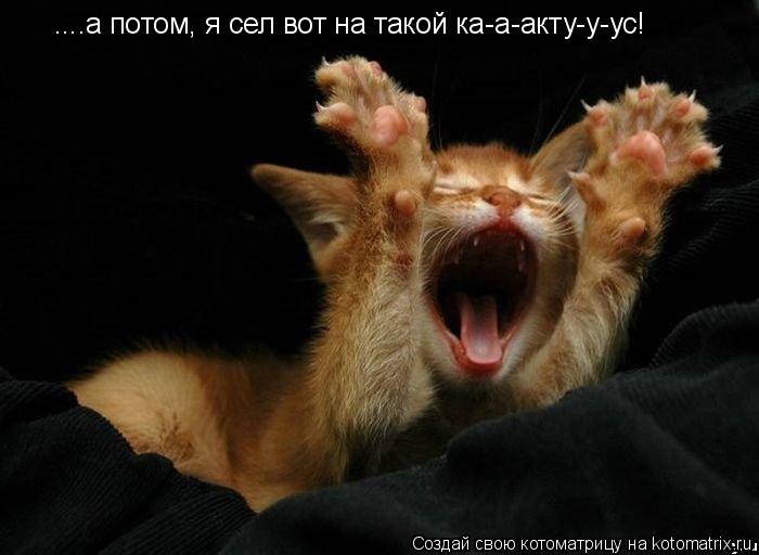 ....а потом, я сел вот на такой ка-а-акту-у-ус!... Котоматрица: ....а потом, я сел вот на такой ка-а-акту-у-ус!