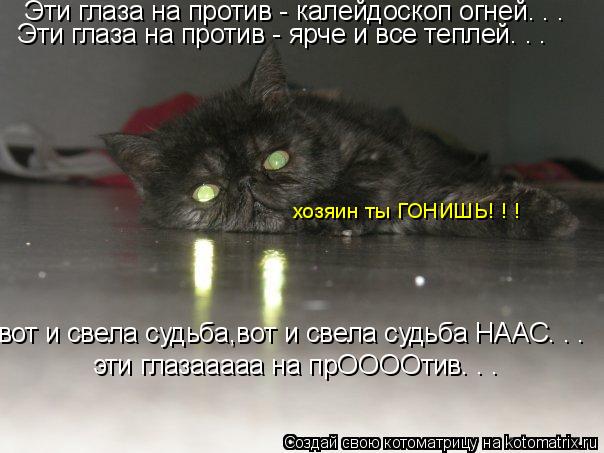 Эти глаза на против - калейдоскоп огней. . . Эти глаза на против - ярче и все теплей. . . хозяин ты Г... Котоматрица: Эти глаза на против - калейдоскоп огней. . . Эти глаза на против - ярче и все теплей. . . хозяин ты ГОНИШЬ! ! ! эти глазааааа на прООООтив. . . вот и