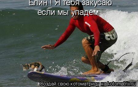 Блин ! Я тебя закусаю если мы упадём... Котоматрица: Блин ! Я тебя закусаю если мы упадём