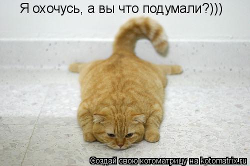 Я охочусь, а вы что подумали?)))... Котоматрица: Я охочусь, а вы что подумали?)))