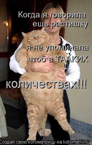 Когда я говорила ешь растишку я не упоминала чтоб в ТААКИХ количествах!!!... Котоматрица: Когда я говорила ешь растишку я не упоминала чтоб в ТААКИХ количествах!!!