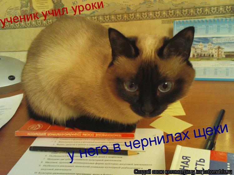 ученик учил уроки у него в чернилах щеки... Котоматрица: ученик учил уроки у него в чернилах щеки