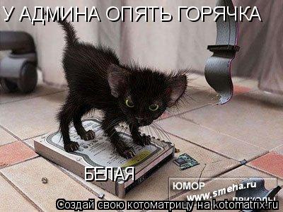 У АДМИНА ОПЯТЬ ГОРЯЧКА БЕЛАЯ... Котоматрица: У АДМИНА ОПЯТЬ ГОРЯЧКА БЕЛАЯ