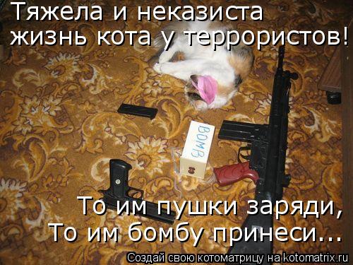 Тяжела и неказиста жизнь кота у террористов! То им пушки заряди, То им бомбу принеси...... Котоматрица: Тяжела и неказиста жизнь кота у террористов! То им пушки заряди, То им бомбу принеси...