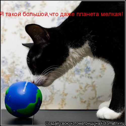 Я такой большой,что даже планета мелкая!... Котоматрица: Я такой большой,что даже планета мелкая!