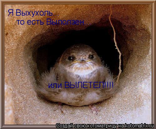Я Выхухоль... то есть Выползен... или ВЫЛЕТЕЛ!!!!... Котоматрица: Я Выхухоль... то есть Выползен... или ВЫЛЕТЕЛ!!!!