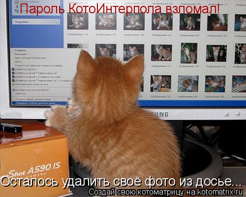 Пароль КотоИнтерпола взломал! Осталось удалить своё фото из досье...... Котоматрица: Пароль КотоИнтерпола взломал! Осталось удалить своё фото из досье...