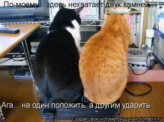 Котоматрица: По-моему... здесь нехватает двух камней Ага... на один положить, а другим ударить