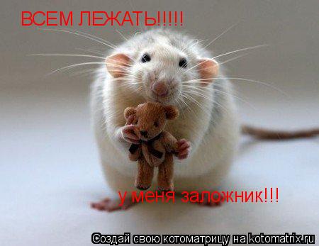 ВСЕМ ЛЕЖАТЬ!!!!! у меня заложник!!!... Котоматрица: ВСЕМ ЛЕЖАТЬ!!!!! у меня заложник!!!