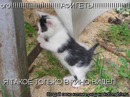 ого!!!!!!!!!!!!!!!!!!!!!!!!! АФИГЕТЬ!!!!!!!!!!!!!!!!!!!!! Я ТАКОЕ ТОЛЬКО В КИНО ВИДЕЛ!... Котоматрица: ого!!!!!!!!!!!!!!!!!!!!!!!!! АФИГЕТЬ!!!!!!!!!!!!!!!!!!!!! Я ТАКОЕ ТОЛЬКО В КИНО ВИДЕЛ!
