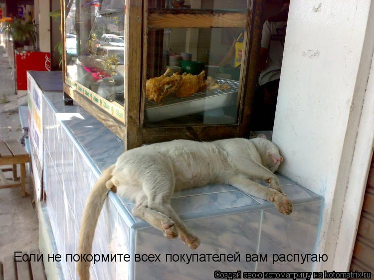 Если не покормите всех покупателей вам распугаю... Котоматрица: Если не покормите всех покупателей вам распугаю