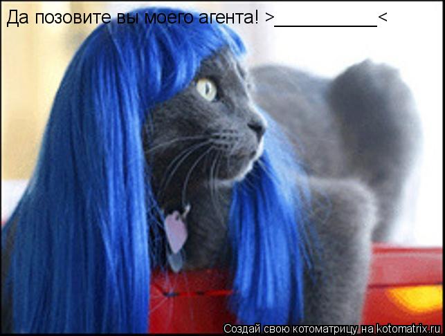 Да позовите вы моего агента! >__________<... Котоматрица: Да позовите вы моего агента! >__________<