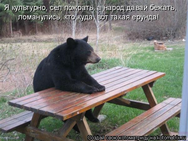Котоматрица: Я культурно, сел пожрать, а народ давай бежать, ломанулись, кто куда, вот такая ерунда!
