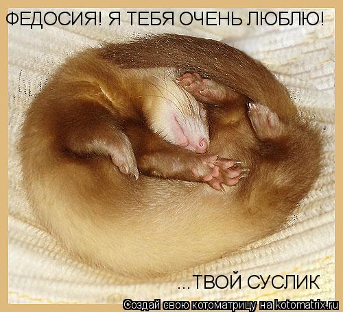 ФЕДОСИЯ!!! Я ТЕБЯ ОЧЕНЬ ЛЮБЛЮ!!! ТВОЙ СУСЛИК ...ТВОЙ СУСЛИК ФЕДОСИЯ! Я ТЕБЯ ОЧЕНЬ ЛЮБЛЮ!... Котоматрица: ФЕДОСИЯ!!! Я ТЕБЯ ОЧЕНЬ ЛЮБЛЮ!!! ТВОЙ СУСЛИК ...ТВОЙ СУСЛИК ФЕДОСИЯ! Я ТЕБЯ ОЧЕНЬ ЛЮБЛЮ!