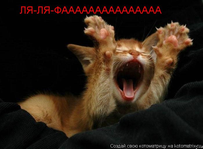 ЛЯ-ЛЯ-ФААААААААААААААА... Котоматрица: ЛЯ-ЛЯ-ФААААААААААААААА