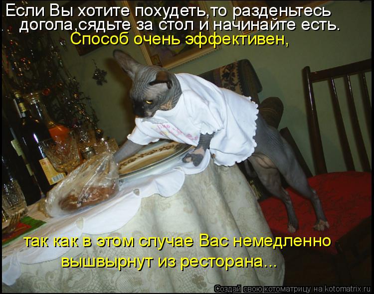 Если Вы хотите похудеть,то разденьтесь догола,сядьте за стол и начинайте есть. Способ очень эффектив... Котоматрица: Если Вы хотите похудеть,то разденьтесь догола,сядьте за стол и начинайте есть. Способ очень эффективен, так как в этом случае Вас немедленн