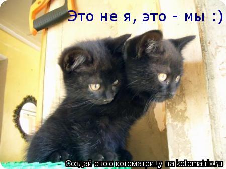 Это не я, это - мы :)... Котоматрица: Это не я, это - мы :)