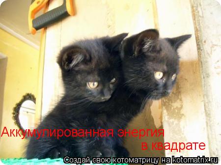 Аккумулированная энергия в квадрате... Котоматрица: Аккумулированная энергия в квадрате