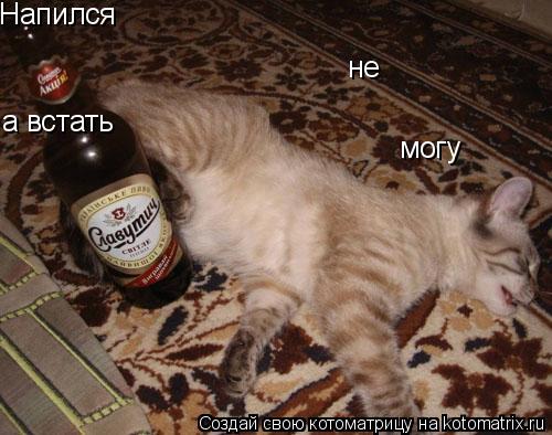 Напился а встать не могу... Котоматрица: Напился а встать не могу