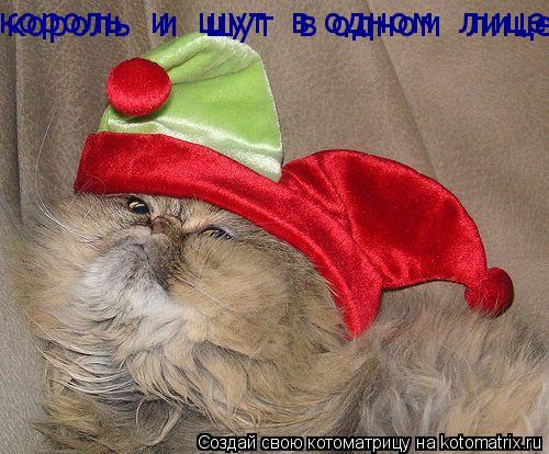 король и шут в одном лице!!! король и шут в одном лице!!!... Котоматрица: король и шут в одном лице!!! король и шут в одном лице!!!