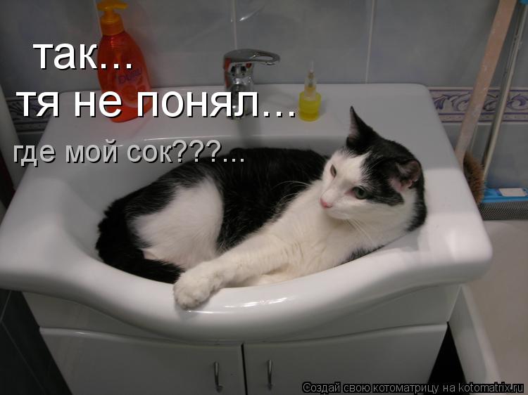 так... тя не понял... где мой сок???...... Котоматрица: так... тя не понял... где мой сок???...
