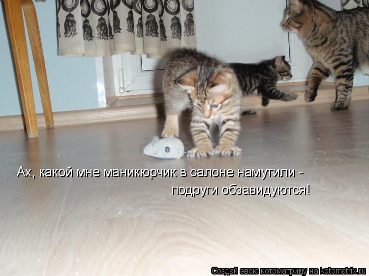 Ах, какой мне маникюрчик в салоне намутили - подруги обзавидуются!... Котоматрица: Ах, какой мне маникюрчик в салоне намутили - подруги обзавидуются!