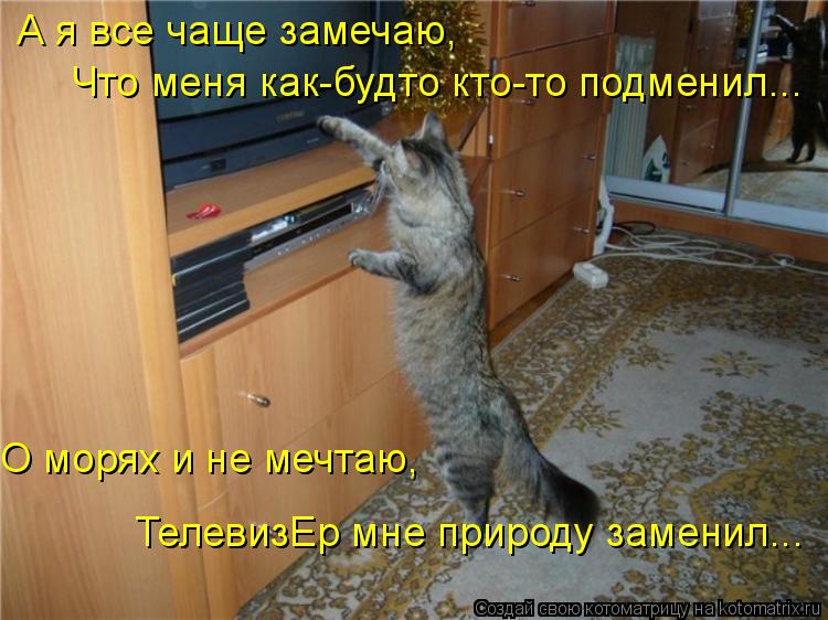 А я все чаще замечаю, Что меня как-будто кто-то подменил... О морях и не мечтаю, ТелевизЕр мне природ... Котоматрица: А я все чаще замечаю, Что меня как-будто кто-то подменил... О морях и не мечтаю, ТелевизЕр мне природу заменил...